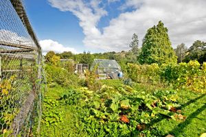 Photo 23- click for photo gallery